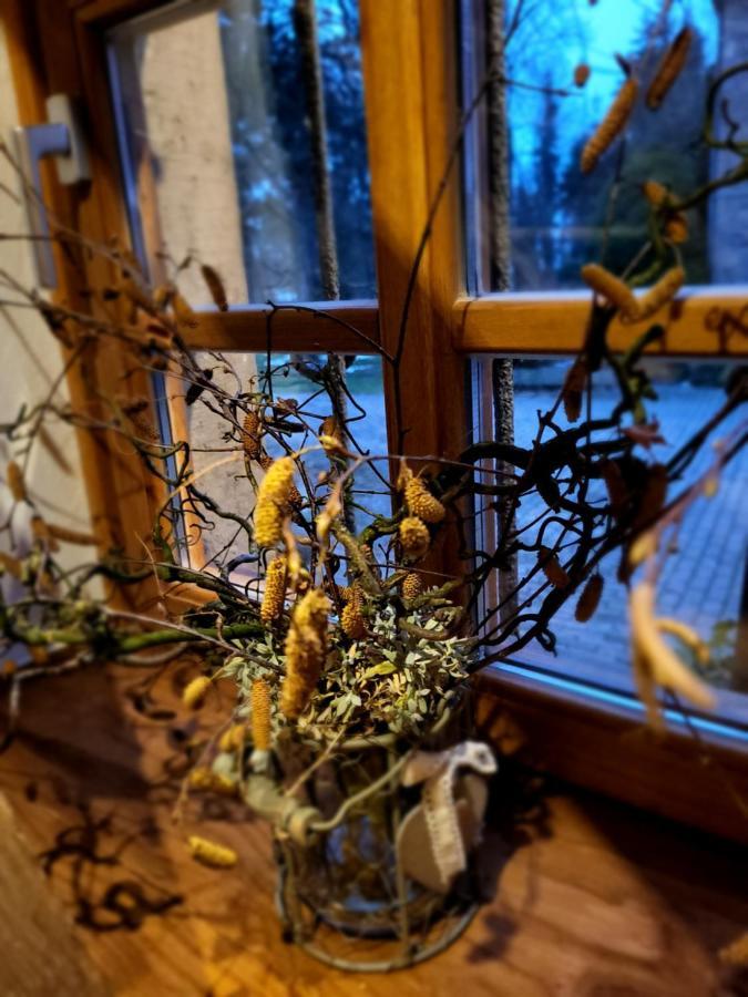 Ferienhaus Drakenhof バート・ザルツフレン エクステリア 写真